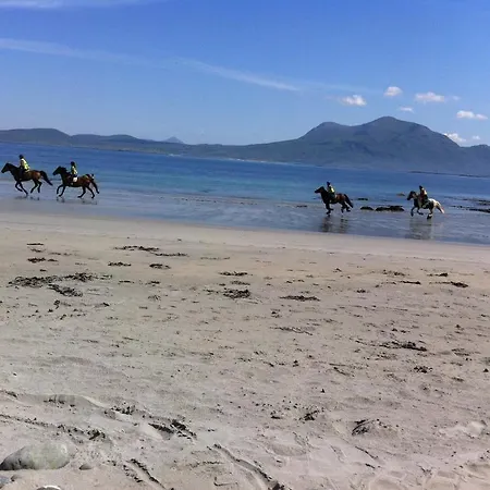 Tatil Evi Sunnymeade Accommodation With Sea View Galway